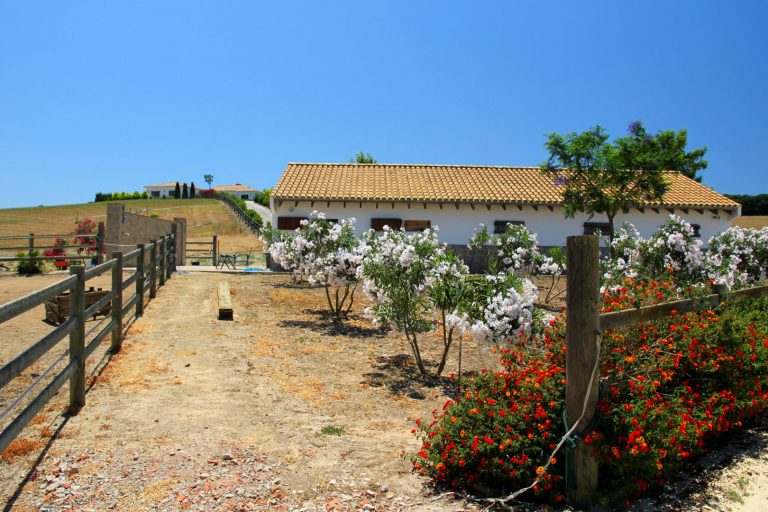 Horse property Vejer de la Frontera