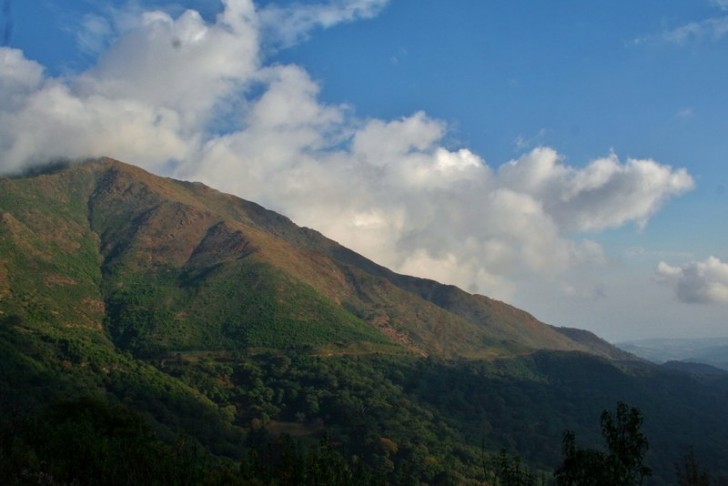 Monte del Duque Casares