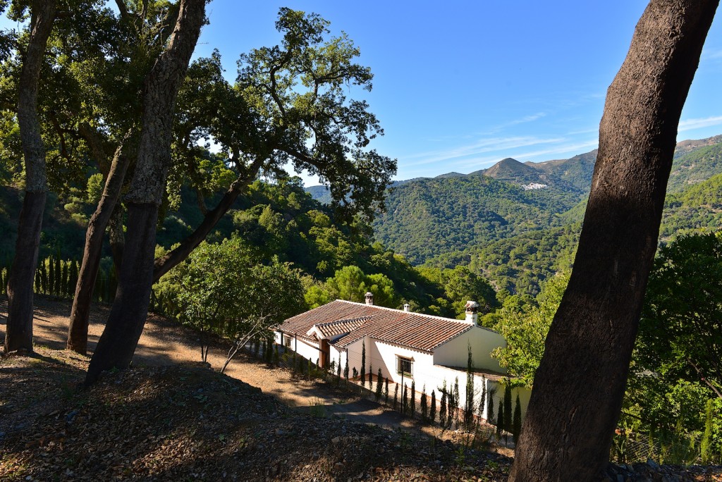 country cottage near gaucin (16)