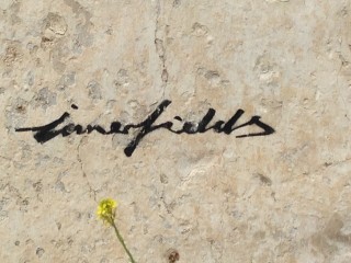 Signature - Innerfields