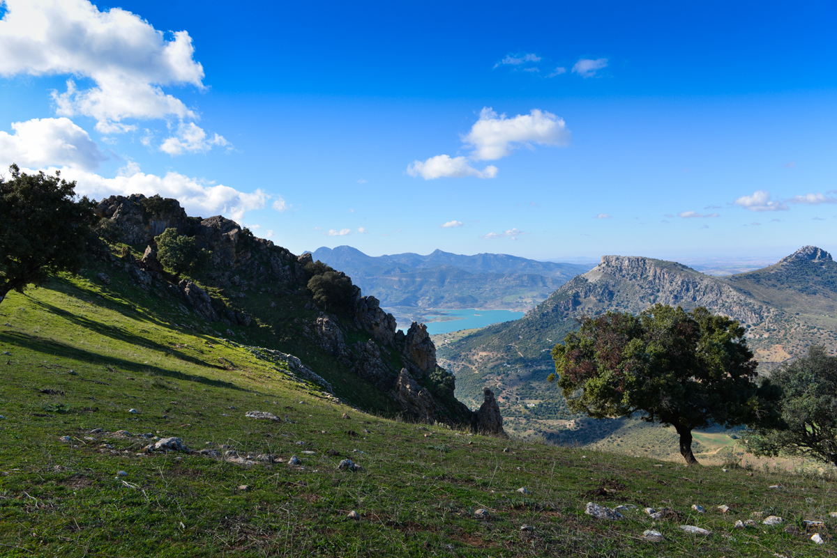 countrylife Andalusia