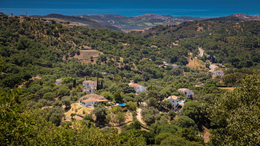 Casares