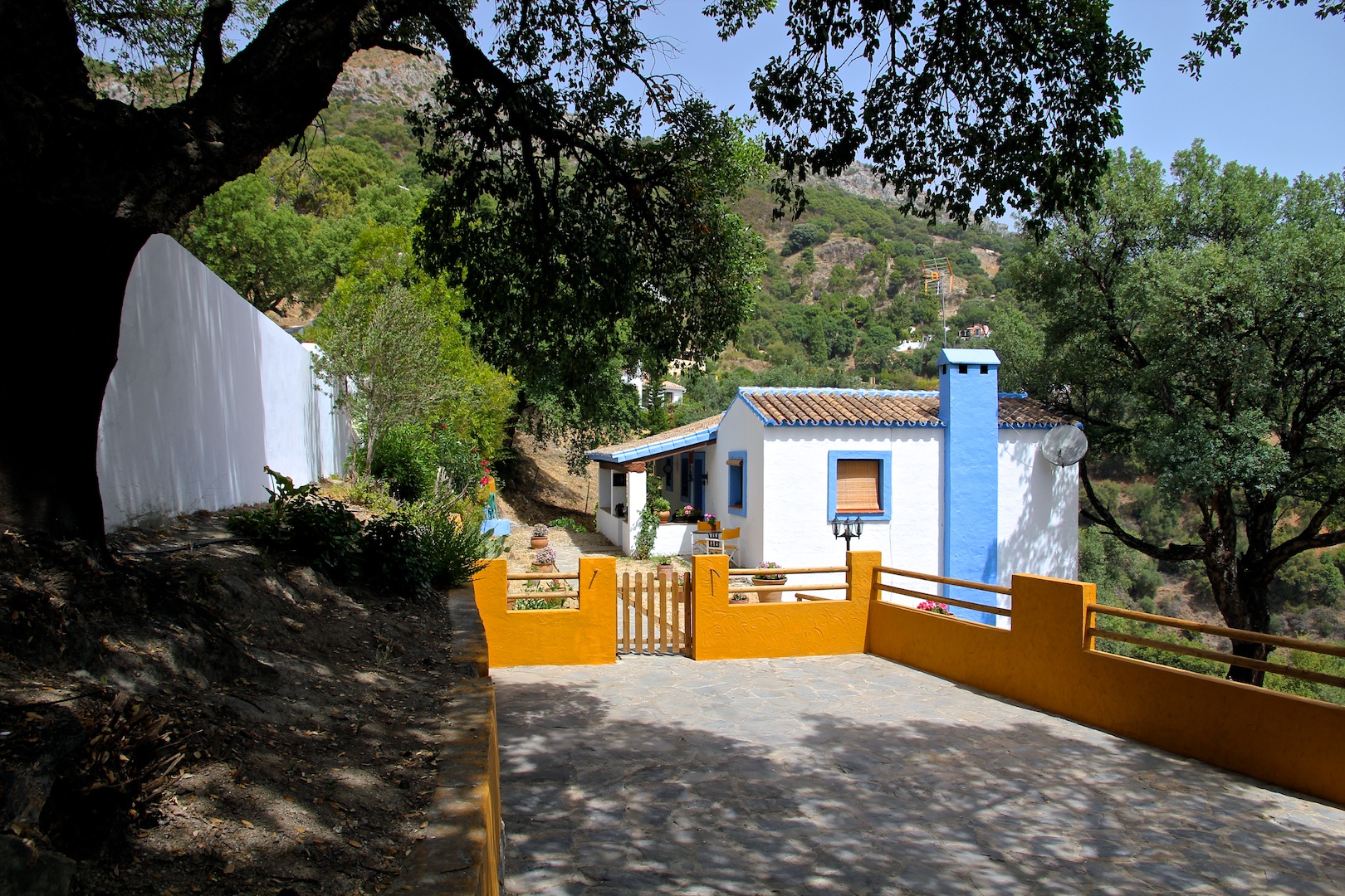 Huis met olijfbomen te koop in Casares