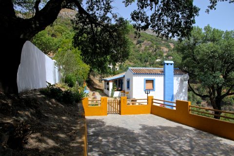 Huis met olijfbomen te koop in Casares