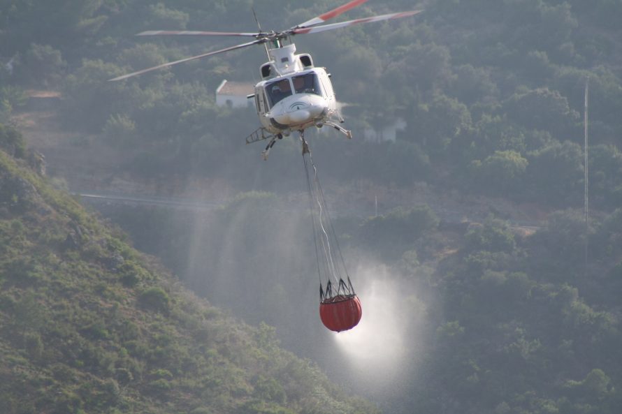 Bush fire Andalusia