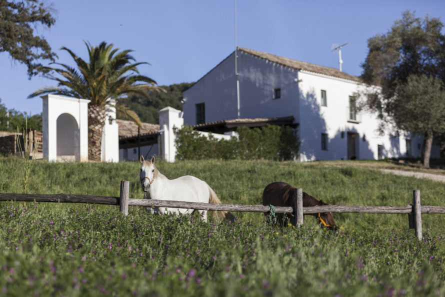 country-house-gaucin