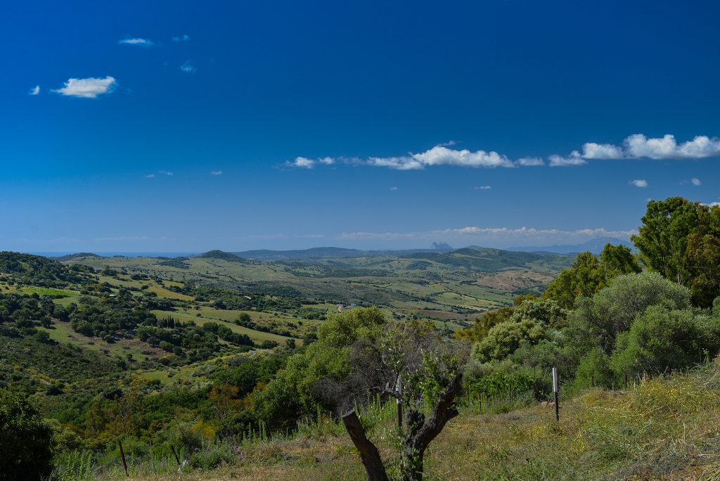 View from Gaucin villa