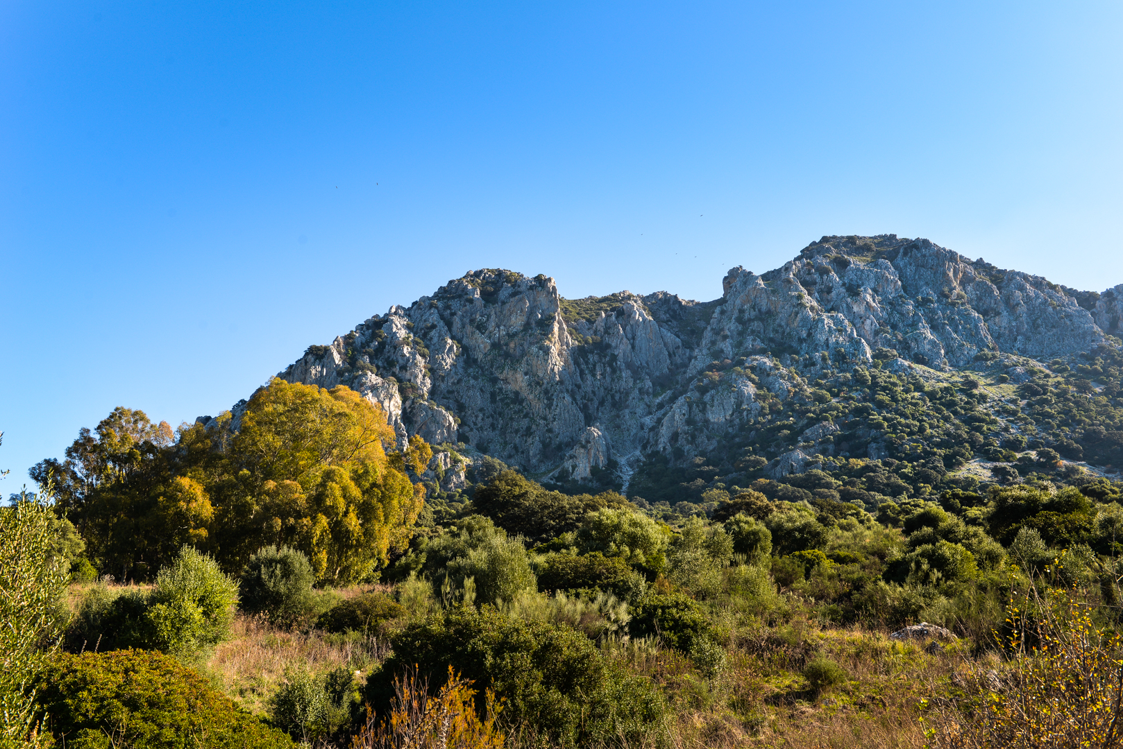 Sierra Crestellina