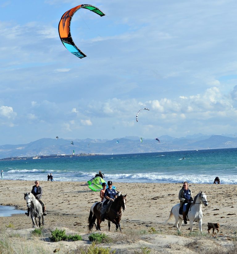 Paseo a caballo por Andalucía