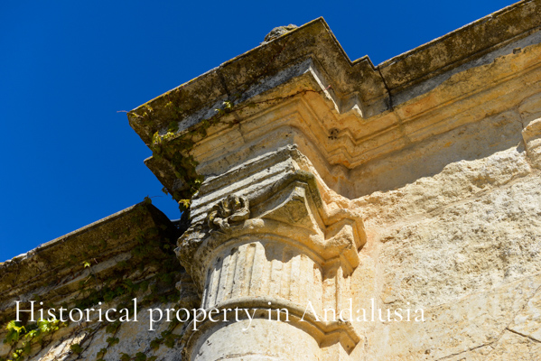 Historical Property in Andalusia Blog
