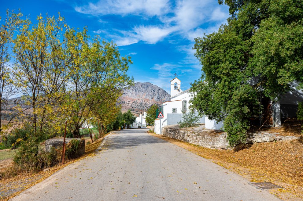 villa de campo en venta andalucia 