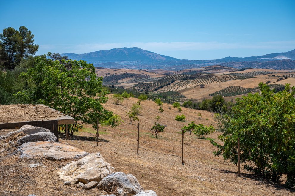 andalucia-cortijo-en-venta