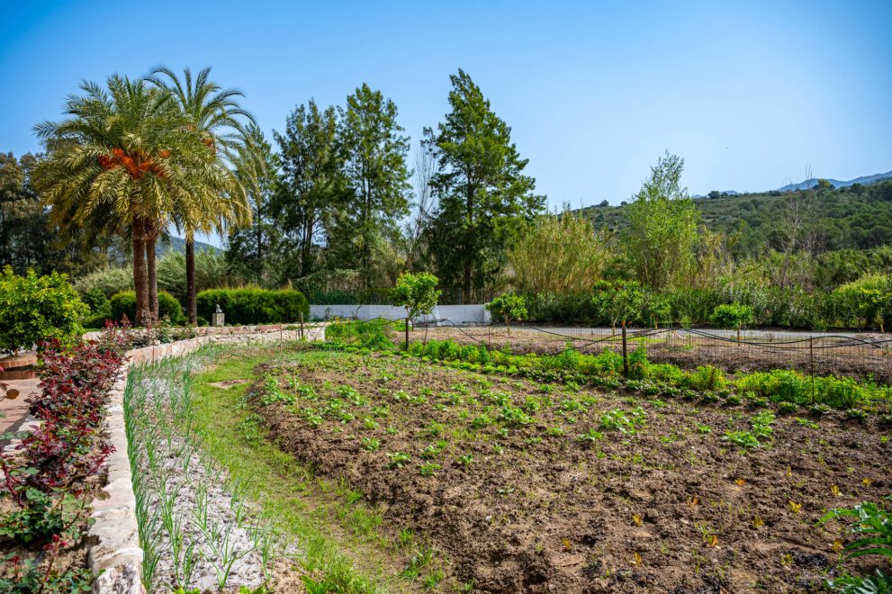 molino-agricultura-producion