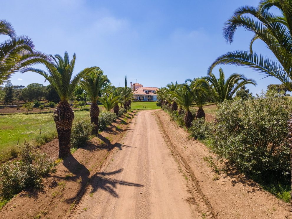 sporting estate spain