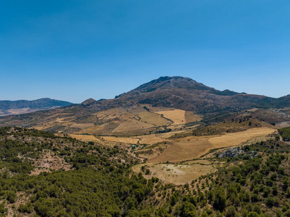 country-estate-ronda