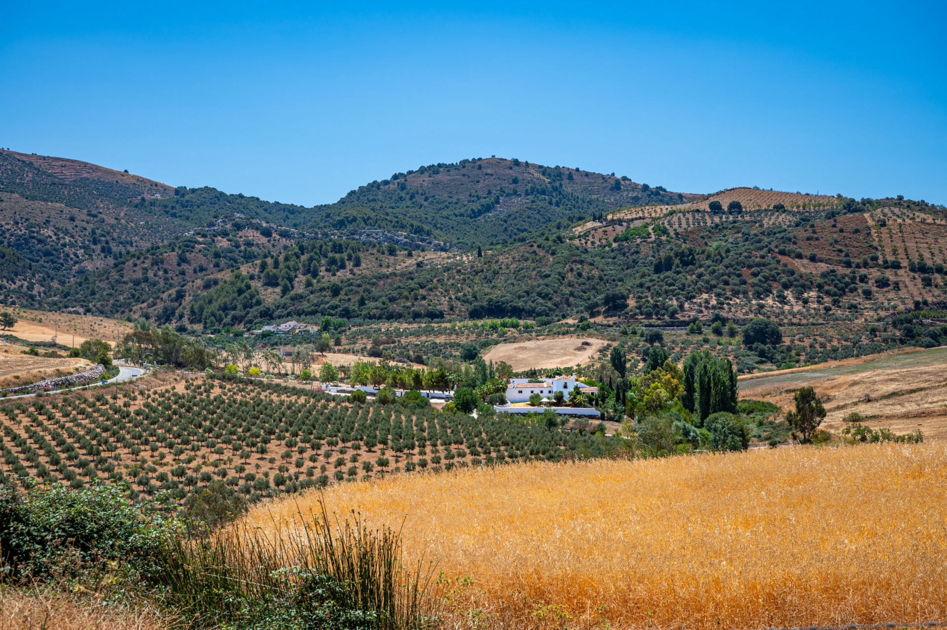 estate-spain