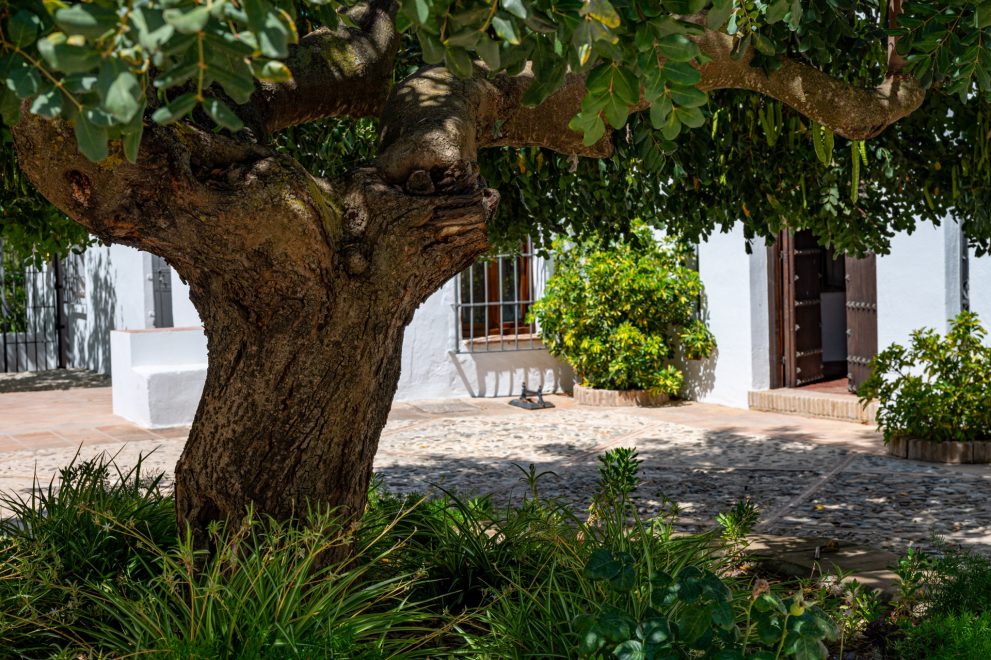 courtyard-spanish-cortijo