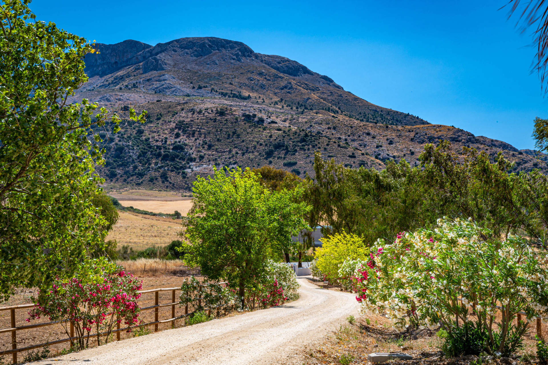 nature-el-burgo