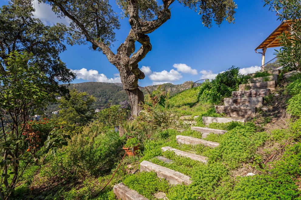 countryside-casares